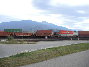 Enlarge photo 311