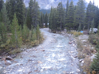 Enlarge photo 446