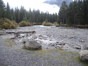 Enlarge photo 447