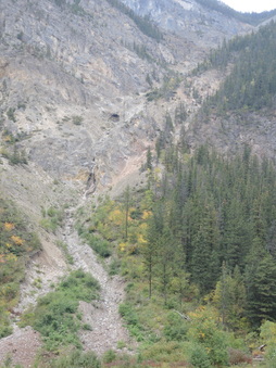Enlarge photo 457