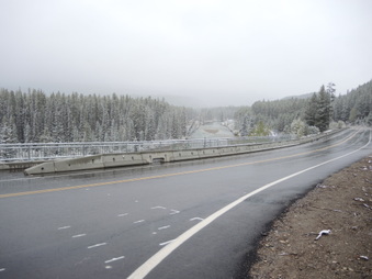 Enlarge photo 490