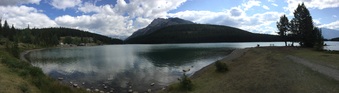 Enlarge photo 52