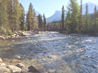 Enlarge photo 168
