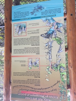 Enlarge photo 387