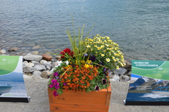 Enlarge photo 43