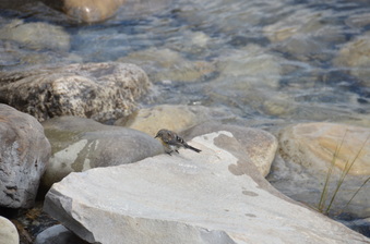 Enlarge photo 42