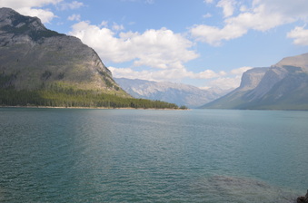 Enlarge photo 45