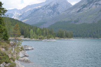 Enlarge photo 46
