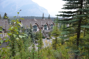 Enlarge photo 66