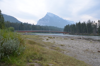 Enlarge photo 71