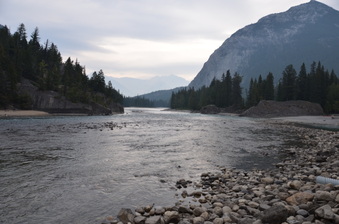 Enlarge photo 84