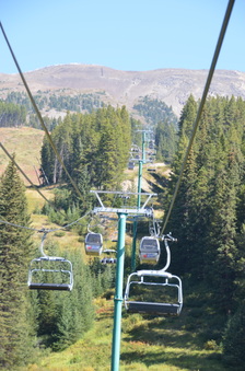 Enlarge photo 213