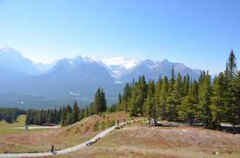 Enlarge photo 216