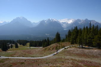 Enlarge photo 217