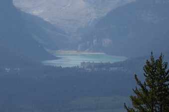Enlarge photo 219