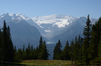 Enlarge photo 221