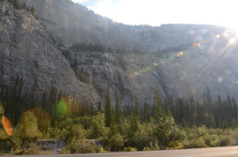 Enlarge photo 259