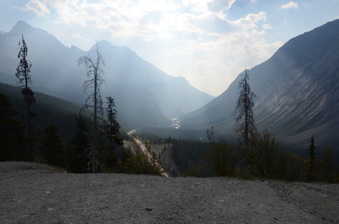 Enlarge photo 261