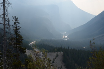 Enlarge photo 262