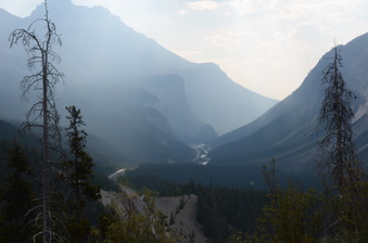 Enlarge photo 263