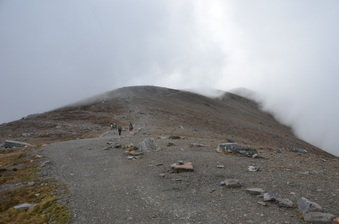 Enlarge photo 323