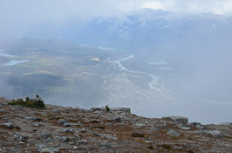 Enlarge photo 324
