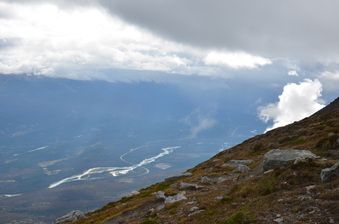 Enlarge photo 329