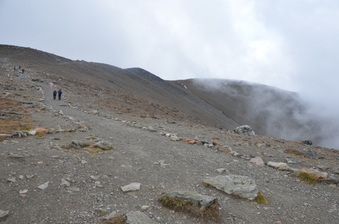 Enlarge photo 333