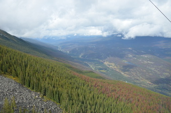 Enlarge photo 338