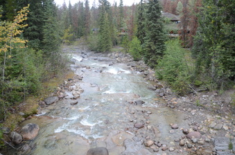 Enlarge photo 347
