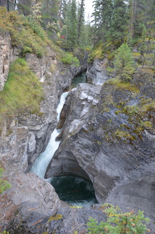 Enlarge photo 352