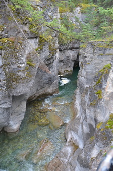 Enlarge photo 353