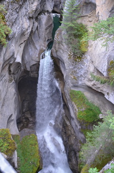Enlarge photo 355