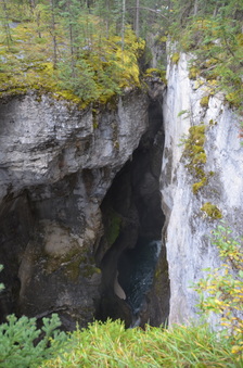 Enlarge photo 358