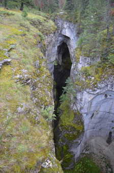 Enlarge photo 357