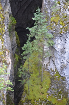 Enlarge photo 361