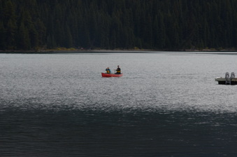 Enlarge photo 378