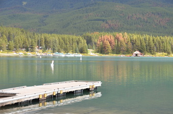 Enlarge photo 382