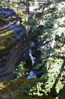 Enlarge photo 394