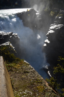 Enlarge photo 398