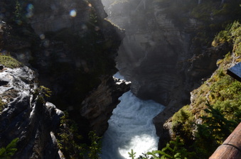 Enlarge photo 397