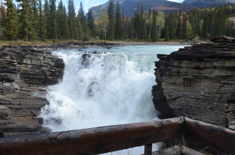 Enlarge photo 415