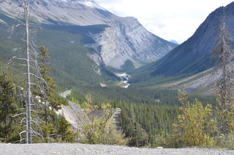 Enlarge photo 436