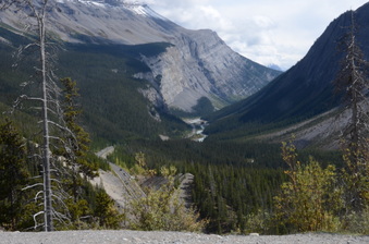 Enlarge photo 434