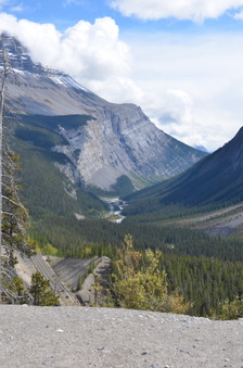 Enlarge photo 435