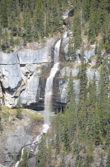 Enlarge photo 439