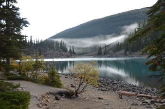 Enlarge photo 470