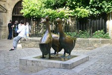 Enlarge photo 22