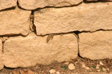 Enlarge photo 71
