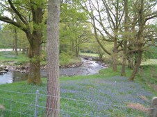 Enlarge photo 4